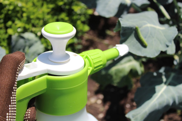 一只握着装有杀虫剂的瓶子的手图片下载