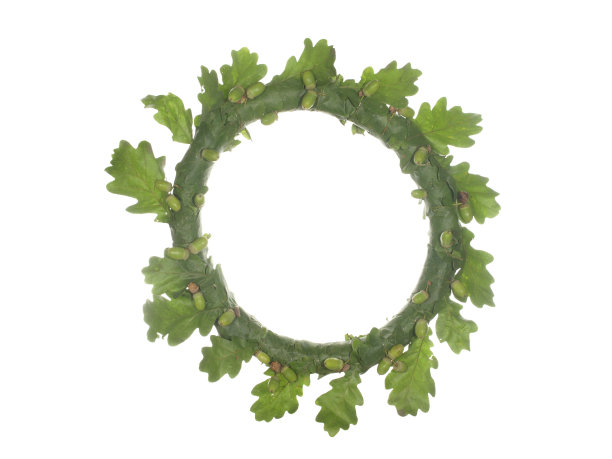 花环，框架由橡树叶子与橡子孤立在白色背景。图片下载