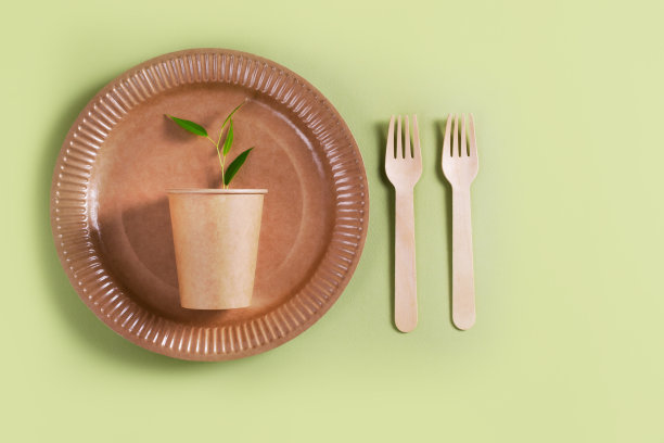 一套竹木餐具，陶瓷与植物躺在绿色背景。生态友好的概念。前视图。副本的空间。图片下载