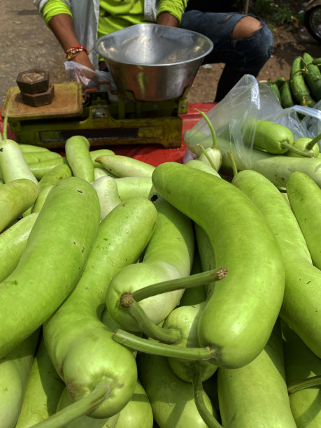 特写图片:无法辨认的市场商人使用称秤出售新鲜的绿色，葫芦从户外水果和蔬菜市场摊位，聚焦前景图片下载