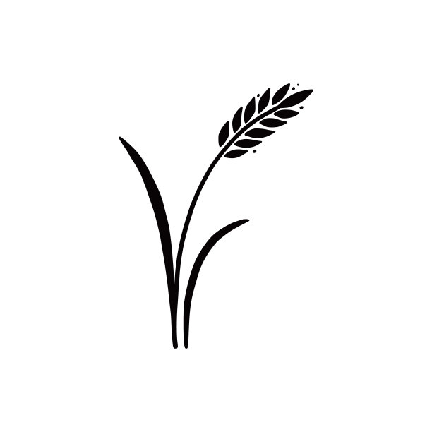 小麦、大麦、大米的图标。手绘图片下载