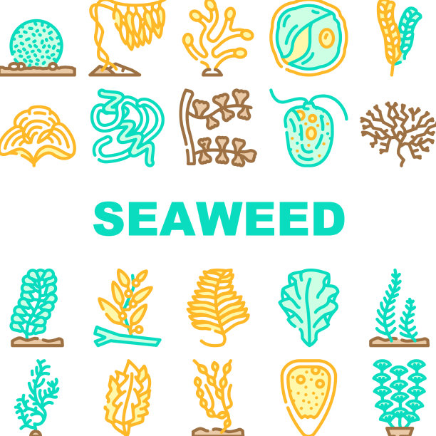 海藻海水下植物图标设置图片下载