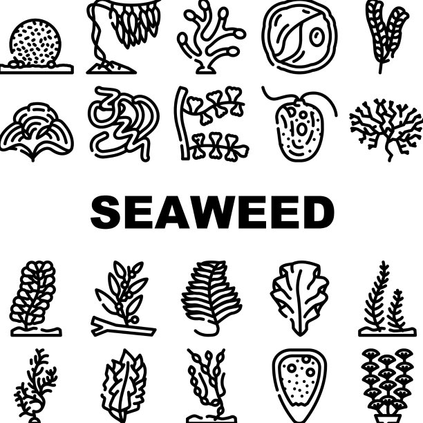 海藻海水下植物图标设置图片下载