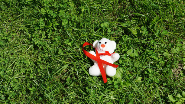 草地上有一只带着红丝带的玩具白熊图片下载