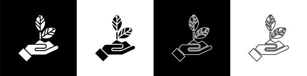 将黑白背景上隔离的环保图标设置为“工厂在手上”。种子和幼苗。种植树苗。生态学的概念。矢量图图片下载