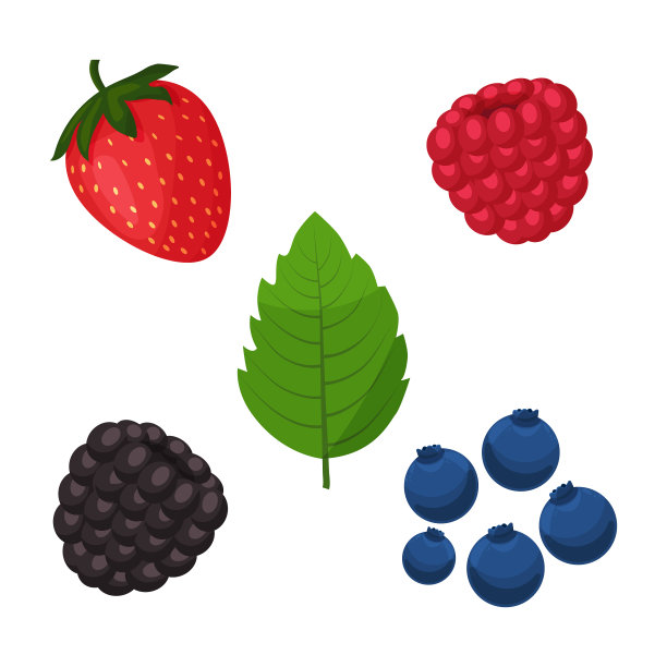 成熟的浆果图片下载