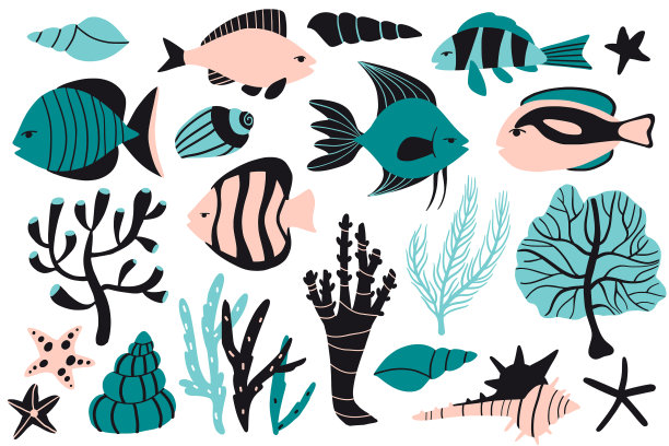 热带珍奇收集鱼贝壳珊瑚图片下载