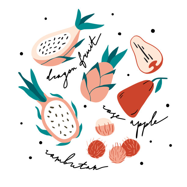 手绘彩色涂鸦奇异的热带水果图片下载