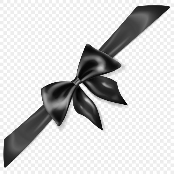 美丽的蝴蝶结与对角丝带图片下载