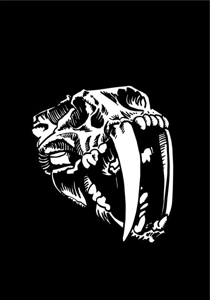 图形三维头骨剑齿虎孤立图片下载