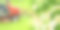 城市园林设计，用割草机在公园里割草和想象中的城市地图重新连接自然和城市的概念图片下载