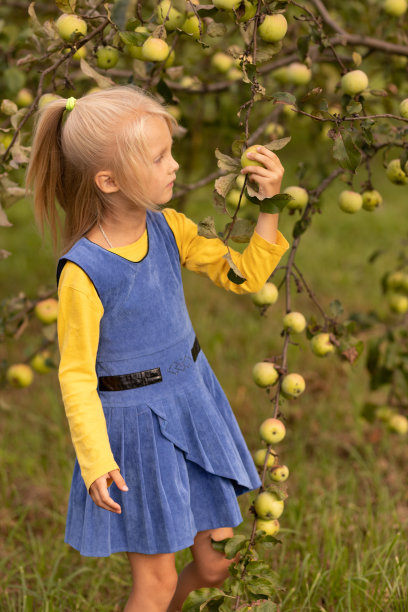 一个女孩在选苹果图片下载