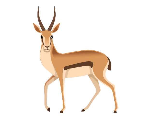 长角的非洲野生黑尾瞪羚图片下载