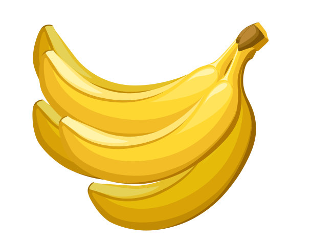 串黄香蕉可食用的热带水果图片下载