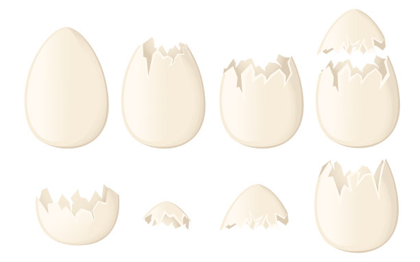 定白蛋壳完整和开裂或图片下载