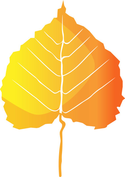 你好秋，一片秋黄橙叶图片下载