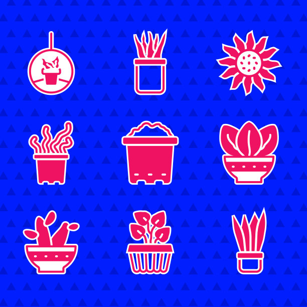 在花盆中放置土壤和室内常青藤图片下载