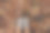 时尚的极简主义绿色运动鞋与白色的鼻子与五颜六色的秋叶地面。秋季大气照片。有选择性的重点图片下载