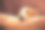 一个可爱的小杰克罗素在家里客厅的沙发上睡觉的裁剪照片图片下载