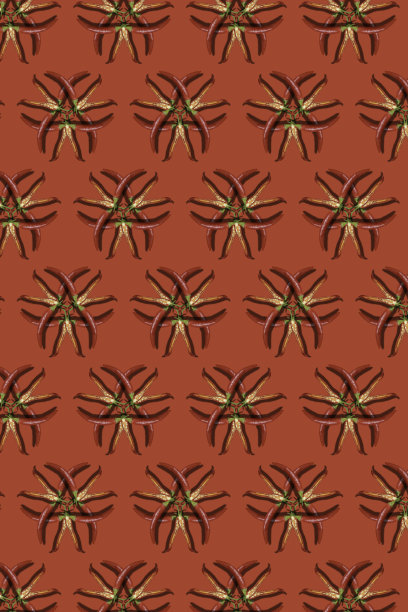 红辣椒红色背景上的辣椒图片下载