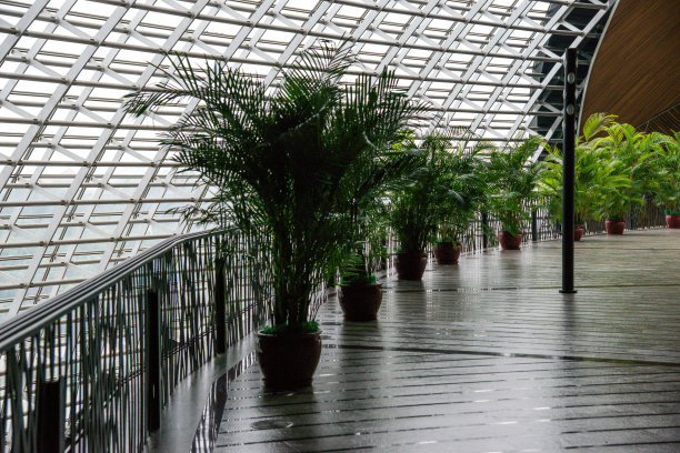 北京国家大剧院内景图片下载