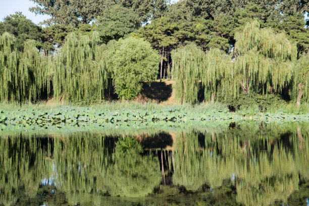 北京圆明园图片下载