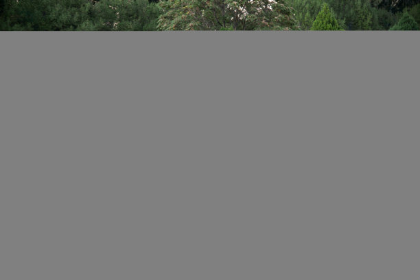 北京圆明园图片下载