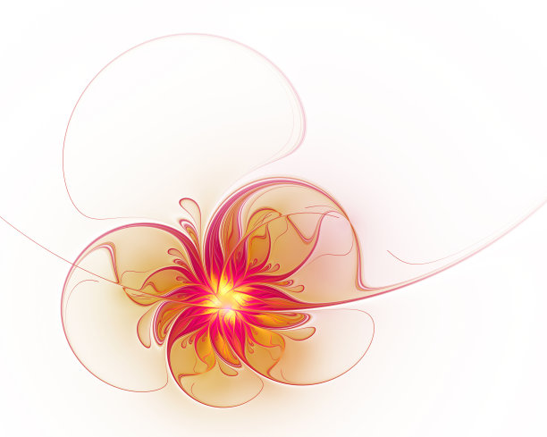 美丽的分形金红花图片下载