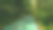 绿色的自行车道和白色的线穿过绿树下的丛林图片下载