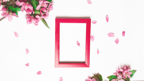 一个彩色的框架装饰与绿色的叶子的苹果花枝在白色的背景复制空间。平竖相框图片下载