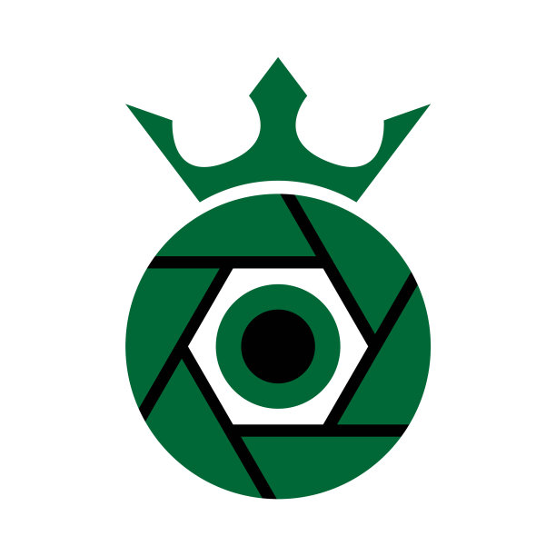 一个相机眼睛的图标图片下载