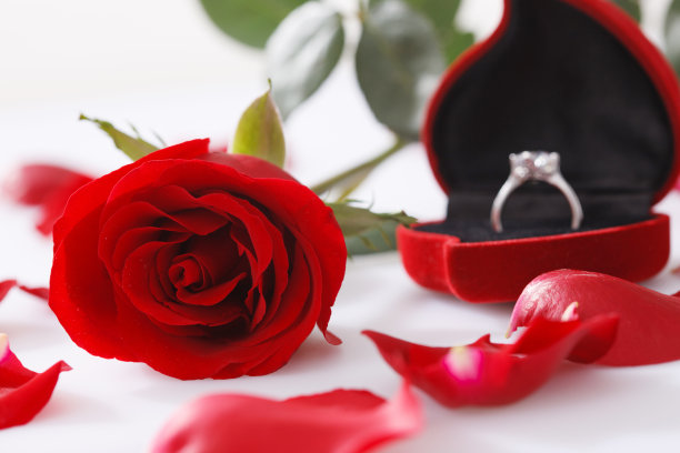 钻戒和玫瑰花图片下载