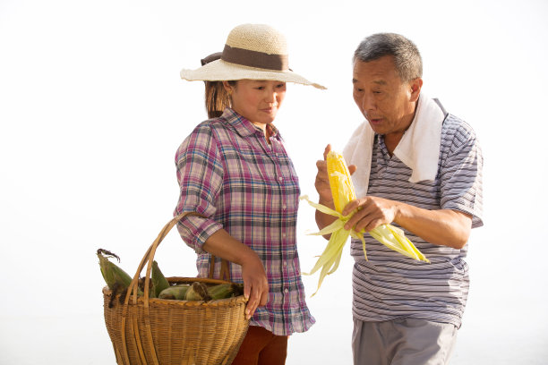 农民拿着玉米图片下载