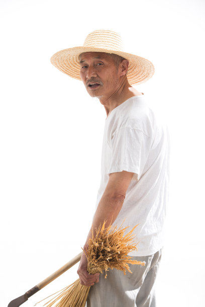 老农民割麦子图片下载