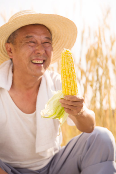 老农民拿着玉米图片下载