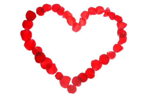 玫瑰花图片下载