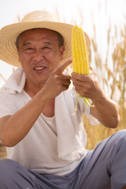 老农民拿着玉米图片下载