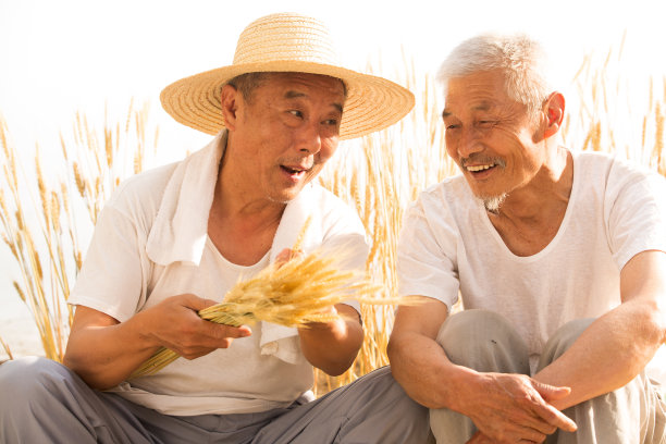 两位老农民拿着麦穗图片下载
