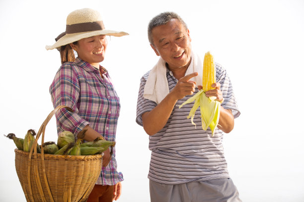 农民拿着玉米图片下载