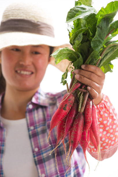 农民拿着一捆小萝卜图片下载