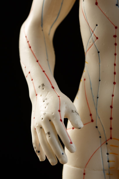 针灸穴位图片下载