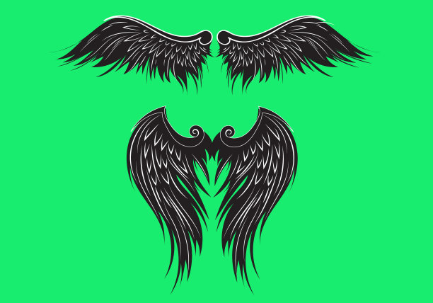 鹰的羽毛图片下载