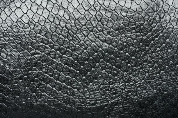 黑鳄鱼皮图片下载