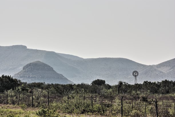 德州谷风车图片下载