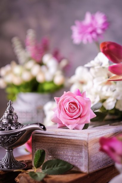 静物摄影中的美丽粉红玫瑰图片下载