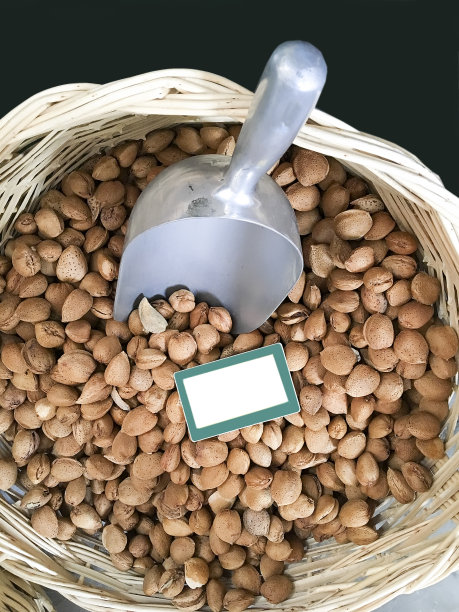 榛子孤立。图片下载