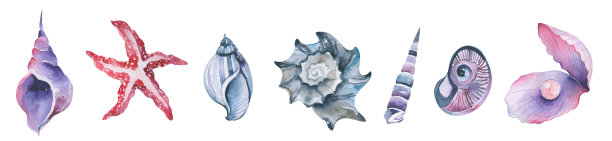 水彩海藻。手绘水族植物。海底可食用藻类。图片下载