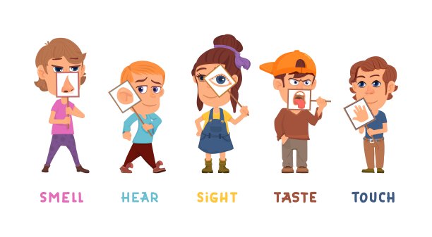 五种感官。孩子们感觉，味觉，听觉，视觉，嗅觉，触觉器官。孩子们拿着医药横幅，用感官系统，孤立的卡通象样的载体概念图片下载