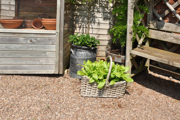 爱好园艺图片下载