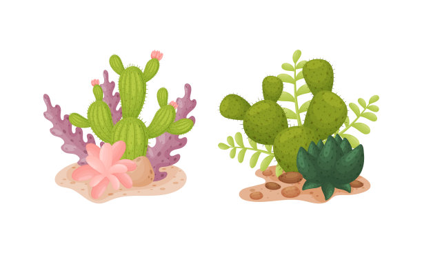 仙人掌和多肉植物将沙漠植物置于图片下载